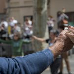 Sardanes Fira de Primavera