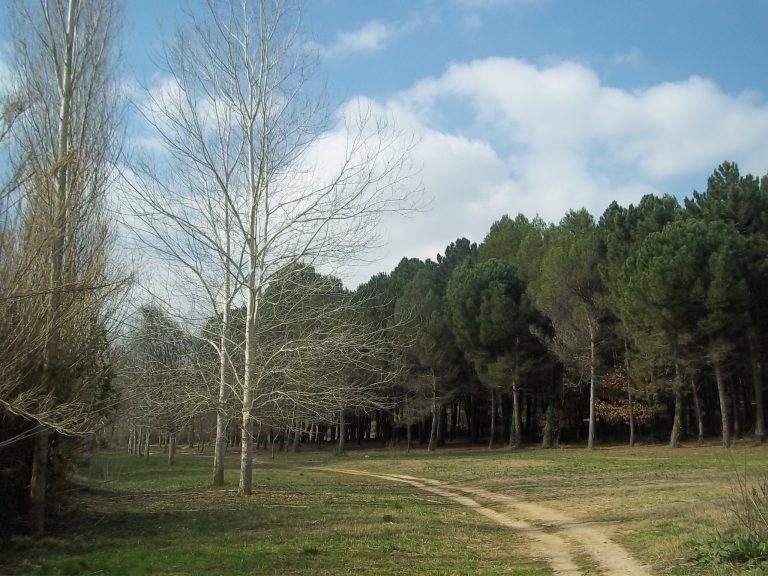 La Diputació destina a Martorell i rodalies dos agents per a evitar els incendis forestals aquest estiu