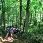 Visita a La Fageda