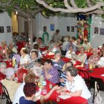 Concerts al pati