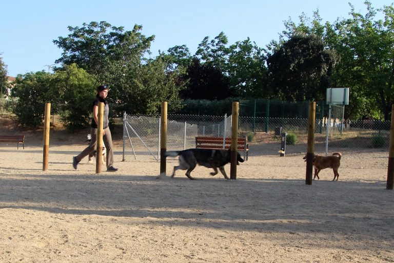 Martorell regularà la tinença d’animals de companyia i incrementarà les sancions als propietaris per actes incívics