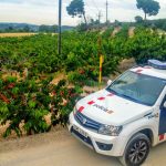 Campanya de la fruita dolça dels Mossos d'Esquadra