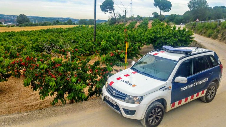 Els Mossos intensifiquen la vigilància a zones rurals de Martorell i rodalies en l’època de la fruita dolça