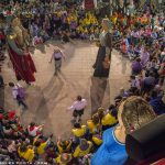 Festa del Most