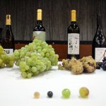 Raïm i vi. Parellada, Moscatell, Chardonnay i Sumoll. Racons de Vimart. Casa de Cultura La Vila