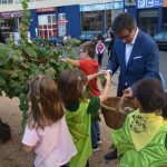 Festa Roser 2017. Recollida del raïm