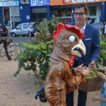 Festa Roser 2017. Recollida del raïm