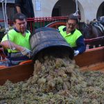 Festa Roser 2017. Trepitjada del raïm