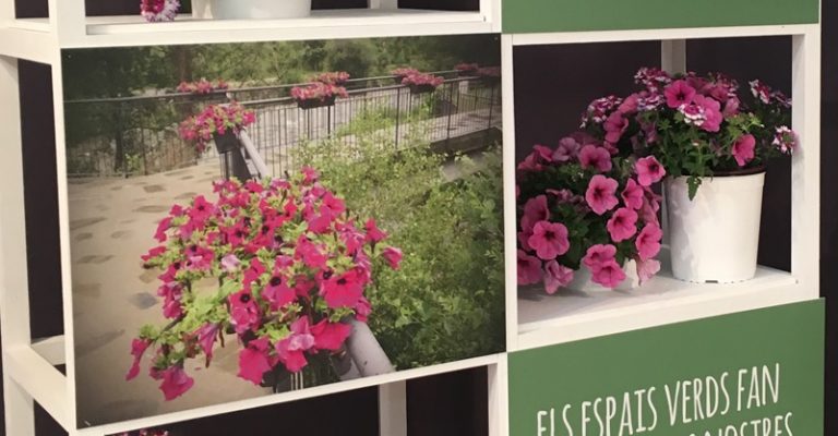 Martorell manté les tres Flors d’Honor per la seva tasca en la millora d’espai verd