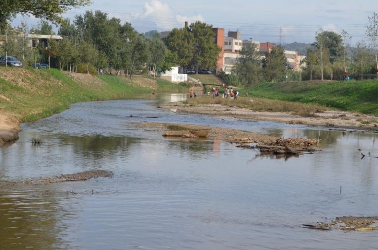 Continuen les mesures per eradicar l’afectació de botulisme a la fauna del riu Anoia