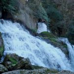 Fonts del Llobregat. Sortida de l'AEM