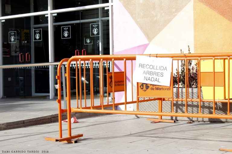 Habilitats punts de recollida d’avets nadalencs al carrer per fer-ne compostatge