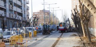 Obres passeig de Catalunya