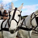 Els Tres Tombs 2018