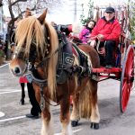 Els Tres Tombs 2018