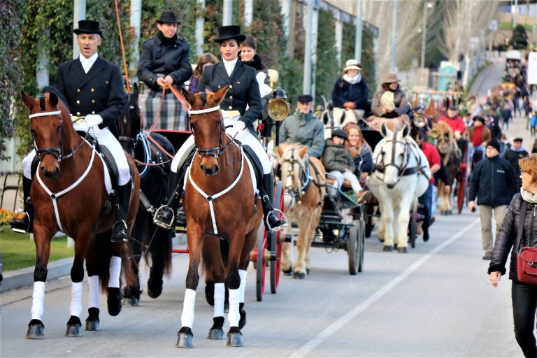 Festa dels Tres Tombs 2018