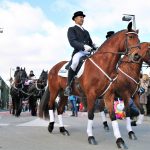 Els Tres Tombs 2018