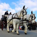 Els Tres Tombs 2018