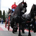 Els Tres Tombs 2018
