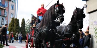 Els Tres Tombs 2018