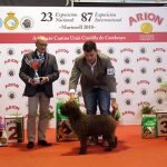 87a Exposició Internacional Canina. Ca n'Oliveras