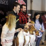 87a Exposició Internacional Canina. Ca n'Oliveras