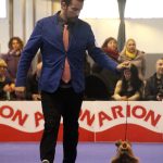 87a Exposició Internacional Canina. Ca n'Oliveras