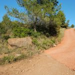 Camí a la serra de l'Ataix