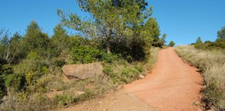 Medi Ambient estassarà camins a la serra de l’Ataix per reduir el risc d’incendis Camí a la serra de l'Ataix