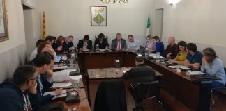 Suport a favor de l’escola catalana i la immersió lingüística Ple Municipal