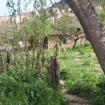 Reordenació de la llera del riu Anoia