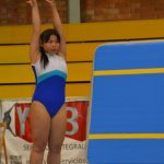 Sisena jornada gimnàstica artística escolar