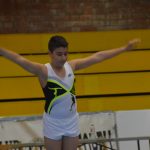 Sisena jornada gimnàstica artística escolar