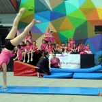 Fira de Sant Jordi. Exhibició del Martorell Gimnàstic Club