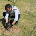 Plantada projecte Arboretus SEAT a Can Cases