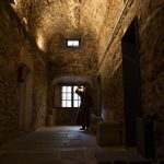 Visites teatralitzades Museu Vicenç Ros