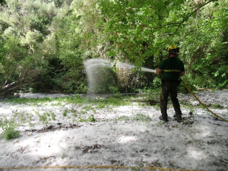 Comença la campanya per reduir els incendis als boscos de ribera