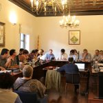 Ple Municipal maig 2018