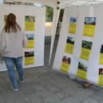 Votació Pressupostos Participatius