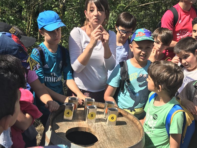 Les cooperatives escolars de Martorell fan una visita i tast a L’Olivera