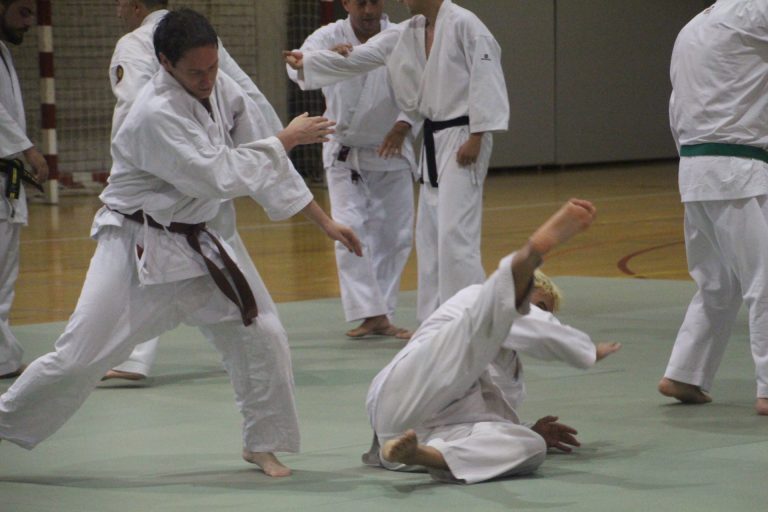 L’Associació Nihon Tai Jitsu celebra el seu 5è aniversari amb una exhibició de portes obertes