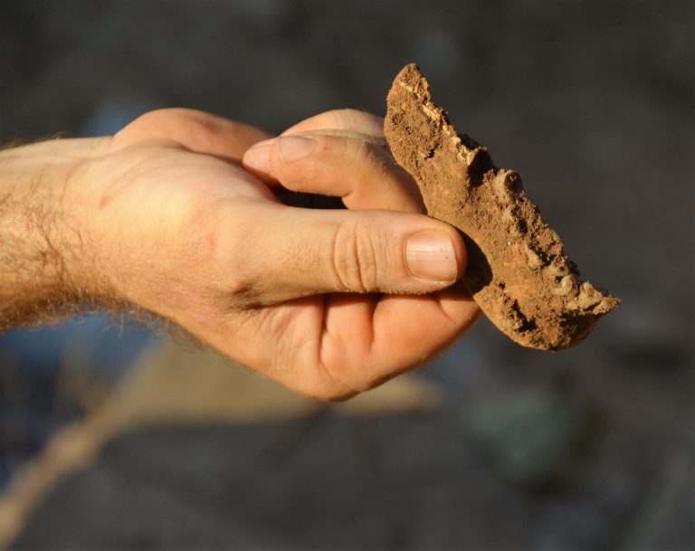 Santa Margarida tanca la campanya d’excavacions amb noves troballes paleocristianes
