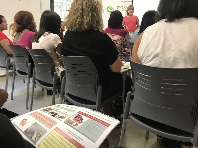 Persones en atur es formen en manipulació d’aliments i conducció de carretons al Molí Empresa