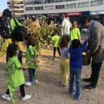 Recollida del raïm a la plaça del Vi