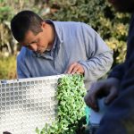 El Viver de Can Serra rep la Tercera Flor d'Honor