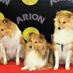 88a Exposició Internacional Canina