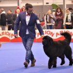 88a Exposició Internacional Canina