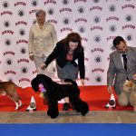 88a Exposició Internacional Canina