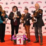 88a Exposició Internacional Canina