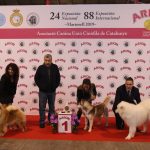 88a Exposició Internacional Canina
